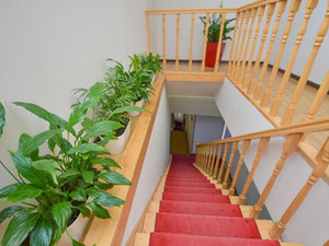 Mtatsminda上的17间客房。第比利斯的无中介房地产 — 来自开发商和业主的房地产搜索引擎 GEOLN.COM. 照片 6