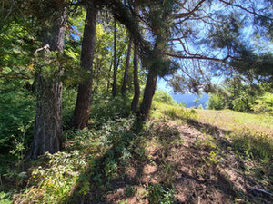 Земля на продажу — Пошуковик нерухомості від забудовників і власників GEOLN.COM. Фото 6