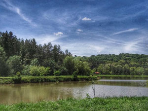 נכס מסחרי אחר בהרים, בפרברים, ביער בבולגריה, אזור Ruse — חיפוש נדל"ן מפרטי ומקבלן GEOLN.COM. תמונה 2