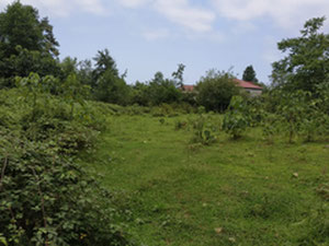 在 Khelvachauri 出售的土地 — 来自开发商和业主的房地产搜索引擎 GEOLN.COM. 照片 11