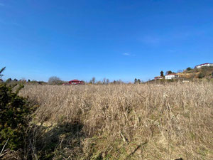 Земельна ділянка в Бобокваті — Пошуковик нерухомості від забудовників і власників GEOLN.COM. Фото 3