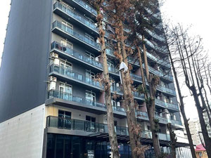 巴统黑框 — 来自开发商和业主的房地产搜索引擎 GEOLN.COM. 照片 25