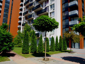 Апартаменты в большом городе в Болгарии, Пловдивская область — Поисковик недвижимости от застройщиков и собственников GEOLN.COM. Фото 11