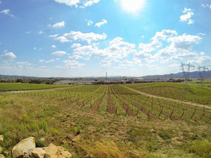 Production in a village in Italy, Tuscany, Livorno — Find off-plan property or real estate resale directly from developers and owners GEOLN.COM. Photo 9