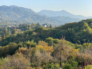 Продається готовий готель у Цихісдзірі — Пошуковик нерухомості від забудовників і власників GEOLN.COM. Фото 19