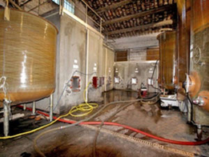 别墅在法国，奥西塔尼亚，蒙彼利埃 — 来自开发商和业主的房地产搜索引擎 GEOLN.COM. 照片 5