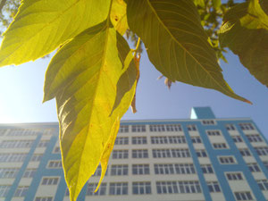 Real estate in Аvila Sky — look at the real estate search engine GEOLN.COM. Photo 6