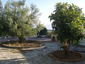 სახლი ზღვის პირას საბერძნეთში, ლუტრაკი — უძრავი ქონების ყიდვა და მფლო ბელებისგან GEOLN.COM. ფოტო 10