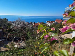 Чорногорія. Будинок з видом на море в Добра Вода. — Пошуковик нерухомості від забудовників і власників GEOLN.COM. Фото 11