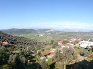 Продается Отдельный Дуплекс с Уникальным Видом На Природу — Поисковик недвижимости от застройщиков и собственников GEOLN.COM. Фото 8