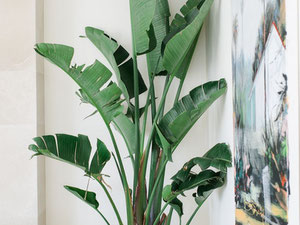 别墅 5 间卧室 721 平方米，位于西班牙新安达卢西亚 — 来自开发商和业主的房地产搜索引擎 GEOLN.COM. 照片 21