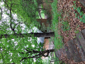 дача Тбісі — Пошуковик нерухомості від забудовників і власників GEOLN.COM. Фото 14