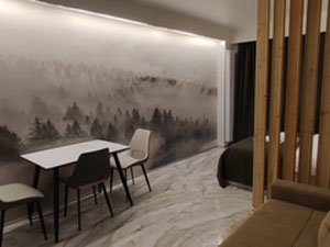 高端公寓，配有设计师装修 — 来自开发商和业主的房地产搜索引擎 GEOLN.COM. 照片 3