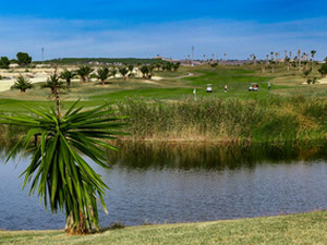 别墅 3 间卧室 106 m² 在维斯塔贝拉高尔夫, 西班牙 — 来自开发商和业主的房地产搜索引擎 GEOLN.COM. 照片 9