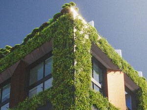 Propiedad en venta en Siguiente dirección — mira el buscador inmobiliario GEOLN.COM. Foto 15