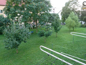 Wohnung in einer großen Stadt in Slowenien, Maribor — Immobilien-Suchservice von Bauträgern und Eigentümern GEOLN.COM. Foto 4