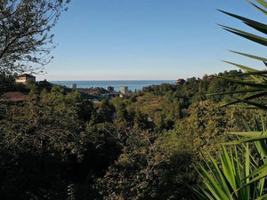 კომერციული მიწა მახინჯაურში — უძრავი ქონების ყიდვა და მფლო ბელებისგან GEOLN.COM. ფოტო 6