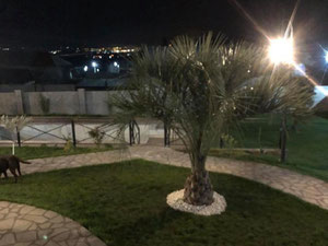 在奥尔塔查尔的小屋。第比利斯的无中介房地产 — 来自开发商和业主的房地产搜索引擎 GEOLN.COM. 照片 13