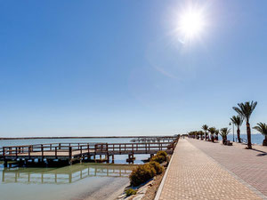 别墅 3 间卧室 109 m² 在 Pilar de la Horadada, 西班牙 — 来自开发商和业主的房地产搜索引擎 GEOLN.COM. 照片 19