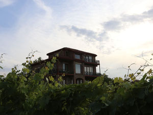 Нерухомість в Schuchmann Wine Luxury Villas — дивіться на пошуковику нерухомості GEOLN.COM. Фото 19