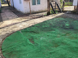 Продам будинок з ділянкою поруч з морем — Пошуковик нерухомості від забудовників і власників GEOLN.COM. Фото 23