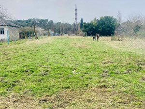 Land plot in Poti — Find off-plan property or real estate resale directly from developers and owners GEOLN.COM. Photo 3