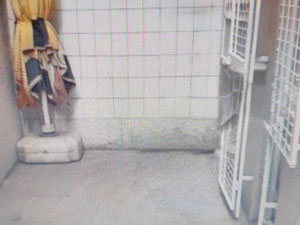 Офіс з орендарем у центральному розташуванні - неймовірна можливість! — Пошуковик нерухомості від забудовників і власників GEOLN.COM. Фото 24