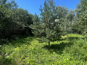 Приватний будинок та ділянка — Пошуковик нерухомості від забудовників і власників GEOLN.COM. Фото 14