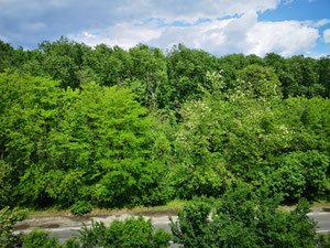 2卧室公寓，A+ 能源效率，莫戈索亚，伊尔福夫县，罗马尼亚 — 来自开发商和业主的房地产搜索引擎 GEOLN.COM. 照片 2