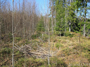 Земельна ділянка біля озера у Фінляндії, Раут'ярві Продаж — Пошуковик нерухомості від забудовників і власників GEOLN.COM. Фото 4