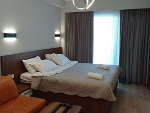 ახალი ბინა ბაკურიანში — უძრავი ქონების ყიდვა და მფლო ბელებისგან GEOLN.COM. ფოტო 6