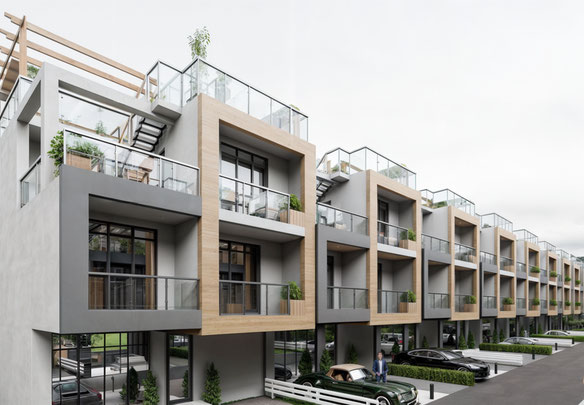 Таунхауси в Грузії, Гоніо