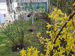 63-метровая квартира — Поисковик недвижимости от застройщиков и собственников GEOLN.COM. Фото 14