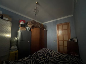 Схований діамант у Тбілісі — Пошуковик нерухомості від забудовників і власників GEOLN.COM. Фото 16