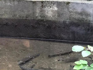 山间餐厅。提克纳斯 — 来自开发商和业主的房地产搜索引擎 GEOLN.COM. 照片 8