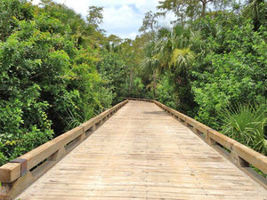 Real estate in Greyhawk at Golf Club of the Everglades — look at the real estate search engine GEOLN.COM. Photo 9