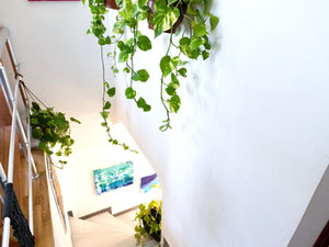 巴统历史中心出售的复式公寓 — 来自开发商和业主的房地产搜索引擎 GEOLN.COM. 照片 12