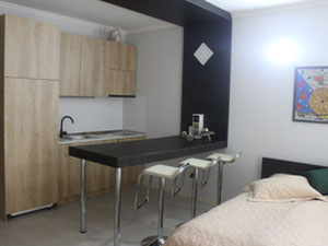 1-room apartment for sale — Find off-plan property or real estate resale directly from developers and owners GEOLN.COM. Photo 4