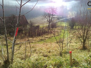 Village house in Slovenia, Zgornja Kungota — Find off-plan property or real estate resale directly from developers and owners GEOLN.COM. Photo 4