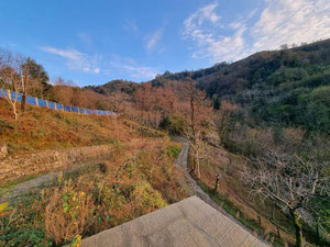 地块与建筑 — 来自开发商和业主的房地产搜索引擎 GEOLN.COM. 照片 9