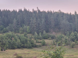 Земля на продажу — Пошуковик нерухомості від забудовників і власників GEOLN.COM. Фото 2