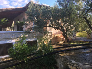 შესანიშნავი სახლი ზღვის პირველ ხაზში — უძრავი ქონების ყიდვა და მფლო ბელებისგან GEOLN.COM. ფოტო 26