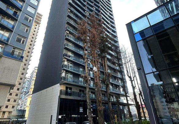 Batum siyah çerçeve