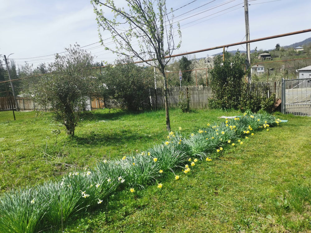 Chokhatauri 的乡间别墅 — 来自开发商和业主的房地产搜索引擎 GEOLN.COM. 照片 1