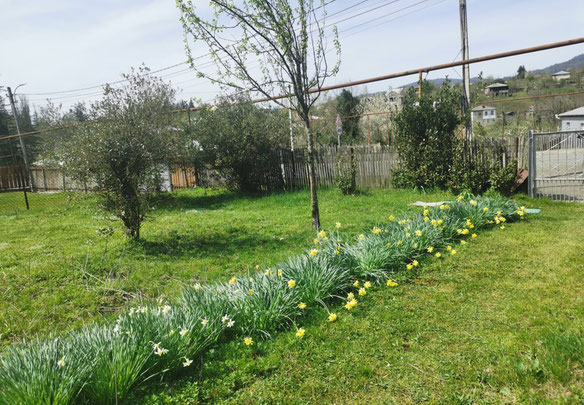 Дача в Чохатаурі