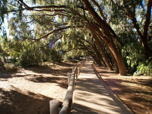 别墅 3 间卧室 117 平方米，位于西班牙拉马塔 — 来自开发商和业主的房地产搜索引擎 GEOLN.COM. 照片 28