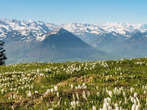 Апартаменти в горах, спа-курорт у Швейцарії, Цуг — Пошуковик нерухомості від забудовників і власників GEOLN.COM. Фото 5