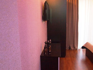 一线一室公apartments — 来自开发商和业主的房地产搜索引擎 GEOLN.COM. 照片 9