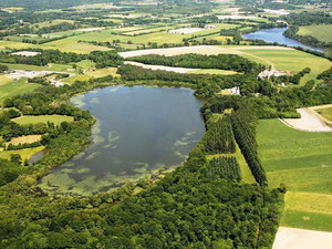 טירה בצרפת, Pays de Loire, Missillac — חיפוש נדל"ן מפרטי ומקבלן GEOLN.COM. תמונה 8