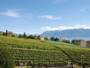 Casa en Suiza, Lutry — Encuentre propiedades fuera del plan o reventa de bienes inmuebles directamente de desarrolladores y propietarios GEOLN.COM. Foto 6